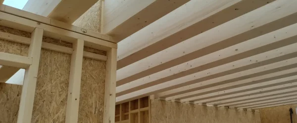 Moderner Holzbau Aufstockung in Holzrahmenbauweise und Holzbalkendecke